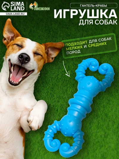 Резиновая игрушка для собак «Гантель-крабы», 11.5×2 см, TPR, голубая