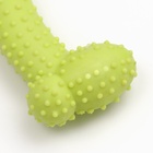 Жевательная игрушка для собак «Любимое лакомство», 11×4 см, TPR, салатовая - Фото 5