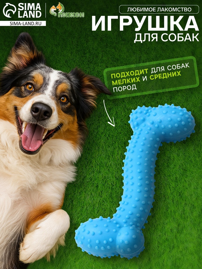 Жевательная игрушка для собак «Любимое лакомство», 11×4 см, TPR, голубая - Фото 1