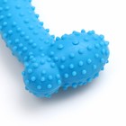 Игрушка жевательная "Любимое лакомство", TPR, 11 х 4 см, голубая - Фото 3