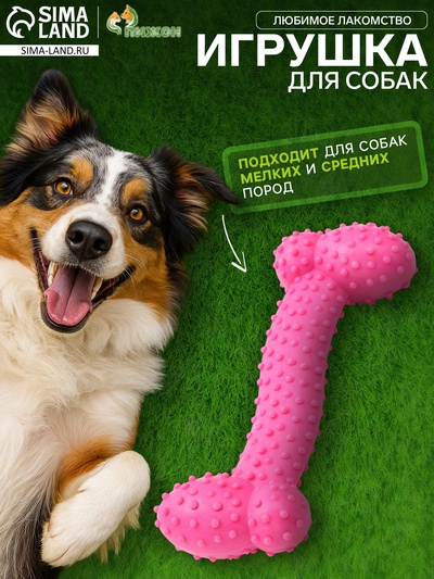 Жевательная игрушка для собак «Любимое лакомство», 11×4 см, TPR, розовая