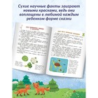 Энциклопедия для малышей в сказках: все, что ваш ребенок должен узнать до школы, Ульева - Фото 4