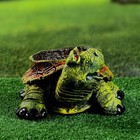 Фигурное кашпо "Черепаха" 30х16х23см - Фото 3