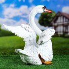 Садовая фигура "Лебедь с крыльями" 41х36х37см - Фото 2
