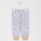 Штанишки детские, цвет серый/мишки, рост 74 см - фото 50956990