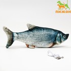 Игрушка для кошек "Подлещик" с двигающимся хвостом и с USB-зарядкой, 28 см - Фото 1