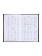 Ежедневник недатированный А5, 160 листов, обложка бумвинил, коричневый - Фото 18