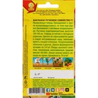 Семена Баклажан "Пучковое семейство", F1, ц/п, 0,1 г - Фото 2