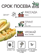 Семена Дыня «Бест Джумбо», 1 г, «Аэлита» - Фото 2