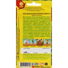 Семена Мята мексиканская "Янтарная свежесть", ц/п, 0,05 г - Фото 2