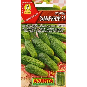 Семена огурца 