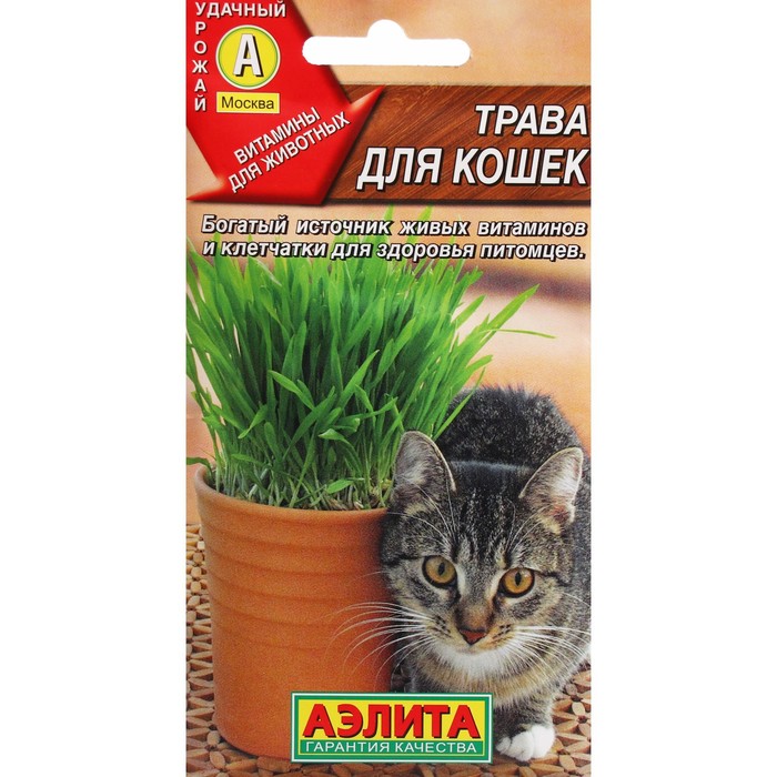 Семена "Трава для кошек", ц/п, 20 г - Фото 1