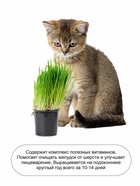 Семена «Трава для кошек», 20 г, «Агрофирма АЭЛИТА» - Фото 3