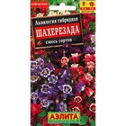 Семена цветов Аквилегия "Шахерезада", 0,1 г - фото 18314412