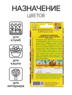 Семена цветов Аквилегия "Шахерезада", 0,1 г - Фото 3