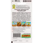 Семена Цветов Алиссум "Горный снег", ц/п, 0,05 г - Фото 2