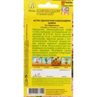 Семена Цветов Астра «Александрия шамоа», 0.1 г - Фото 2