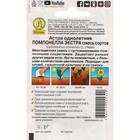 Семена Цветов Астра "Помпонелла Экстра", смесь сортов, 0,2 г - Фото 2