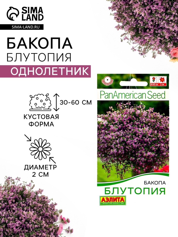 Семена Цветов Бакопа «Блутопия», однолетник, 3 шт., «АЭЛИТА» - Фото 1
