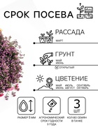 Семена Цветов Бакопа «Блутопия», однолетник, 3 шт., «АЭЛИТА» - Фото 2