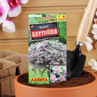 Семена Цветов Бакопа Блутопия --- Одн (драже в пробирке) Сел. PanAmerican Seed 3шт Ц/П - Фото 3