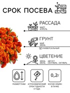 Семена Цветов Бархатцы «Имеретинский шафран», отклоненные, ц/п, 0.2 г - Фото 2