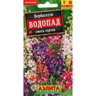 Семена цветов Вербаскум "Водопад", 0,1 г - Фото 1