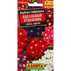 Семена Цветов Вербена "Идеальный художник", смесь сортов, ц/п, 0,1 г - Фото 1