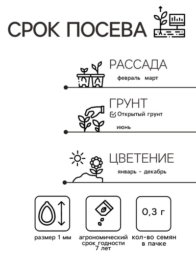 Семена цветов Гипоэстес "Пинк Полка", ц/п, 0,03 г