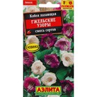 Семена цветов Кобея "Гжельские узоры", 0,45 г - Фото 1