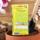 Семена цветов Кобея "Гжельские узоры", 0,45 г - Фото 4