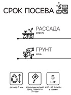 Семена цветов Ковыль "Фейерверк", 5 шт. - Фото 2