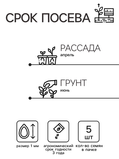 Семена цветов Ковыль "Фейерверк", 5 шт.