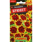 Семена Цветов Космидиум «Брюнет», 0.1 г - Фото 1