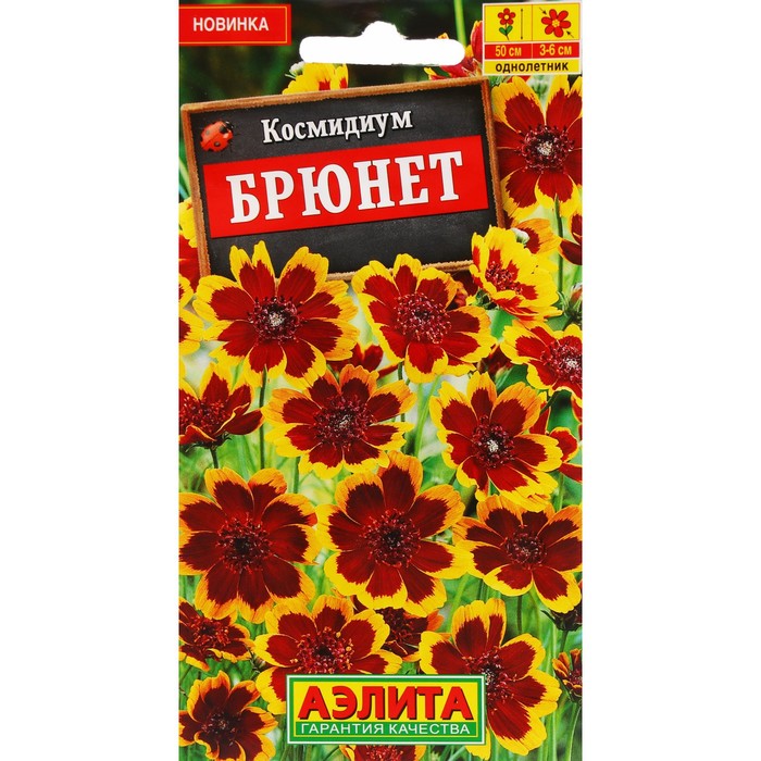 Семена Цветов Космидиум «Брюнет», 0.1 г - Фото 1