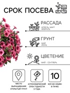 Семена Цветов Петуния «Городская» F1, орхидея, драже в пробирке, 7 шт. - Фото 2