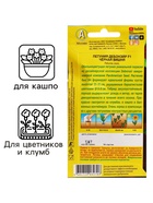 Семена Цветов Петуния "Дебонэйр", Черная вишня, F1,5 шт.  драже в пробирке 7643921 - фото 16216579