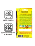 Семена Цветов Петуния «Джоконда» F1, ярко-алая, драже в пробирке, 5 шт. - Фото 3