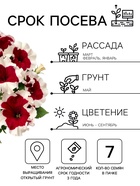 Семена Цветов Петуния «Малиновый каприз», F1, 7 шт., «Агрофирма АЭЛИТА» - Фото 2