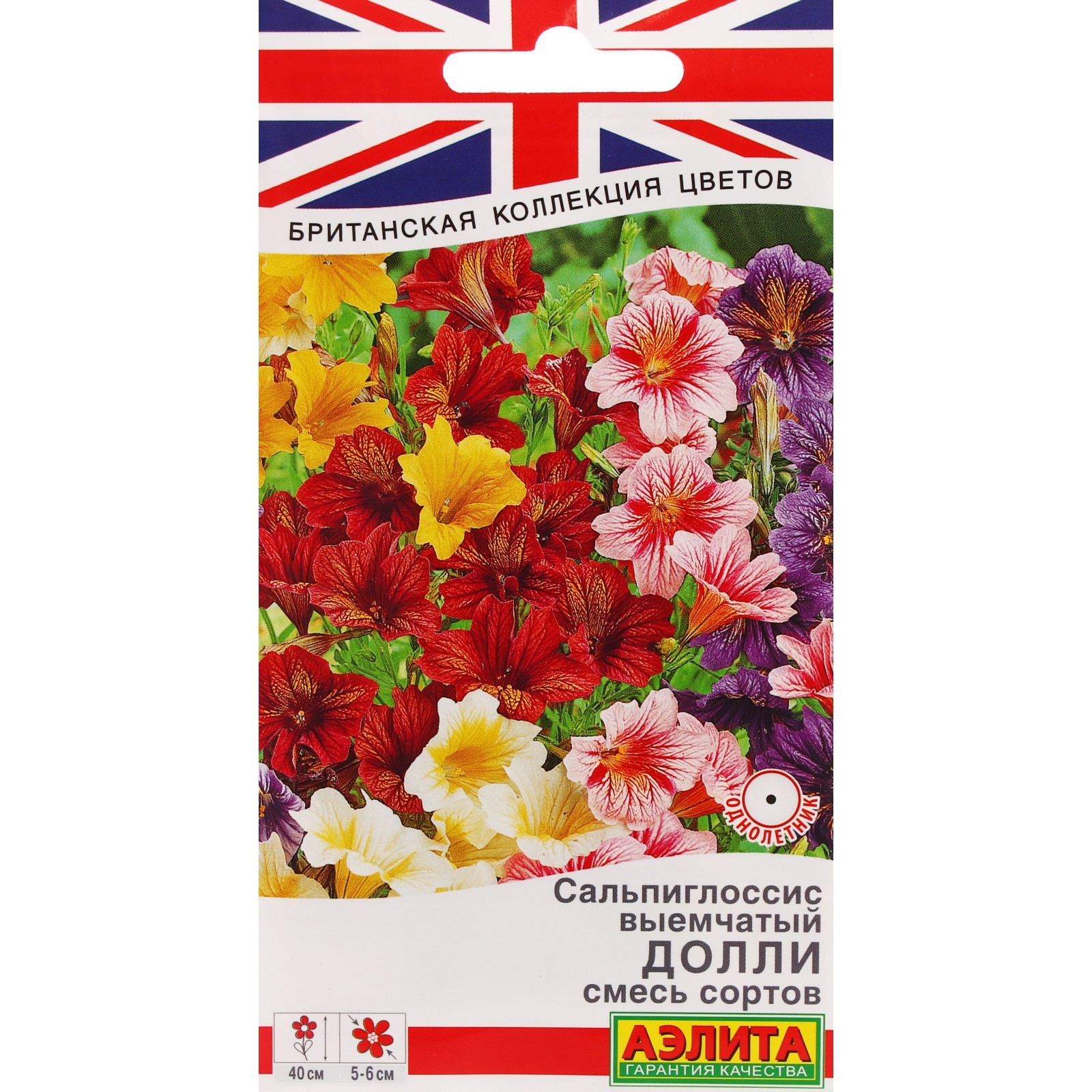 Сальпиглоссис Купить
