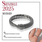 Новый год! Символ года 2025! Кольцо «Змея» уроборос, цвет серебро, безразмерное 7644545 - фото 24086057