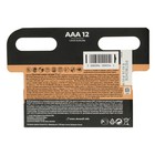 Батарейка алкалиновая Duracell Basic, AAA, LR03-12BL, 1.5В, блистер, 12 шт. - Фото 2