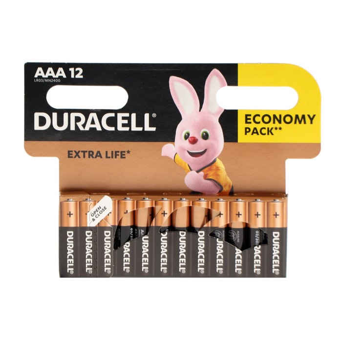 Батарейка алкалиновая Duracell Basic, AAA, LR03-12BL, 1.5В, блистер, 12 шт. - фото 51487668