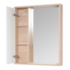 Зеркальный шкаф AQUATON Бостон 60 дуб эврика 1A240202BN010 - Фото 2