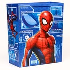 Пакет подарочный, 40 х 49 х 19 см, Человек-паук - фото 9858863