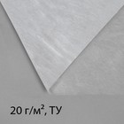 Материал укрывной, 10 × 2,1 м, плотность 20, белый, спанбонд с УФ-стабилизатором, Greengo, Эконом 20% - Фото 6