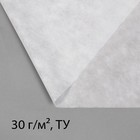 Материал укрывной, 10 × 2,1 м, плотность 30 г/м², белый, спанбонд с УФ-стабилизатором, Greengo, Эконом 30% - Фото 6