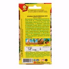 Семена Душица обыкновенная "Фея", ц/п, 0,05 г - Фото 2