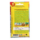 Семена Капуста краснокочанная "Жар-птица", ц/п, 0,3 г - Фото 2