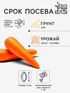 Семена на ленте Морковь «Московская зимняя», 8 м, «Аэлита» - Фото 2